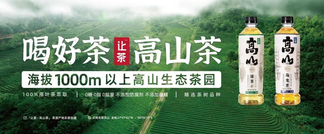 十年磨一剑，无糖茶厚积薄发