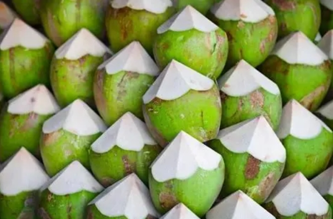 全食展资讯|椰子水，会像无糖茶一样爆发吗？